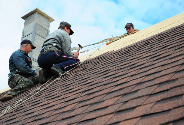 Best Storm Damage Roof Repair  in Amory, MS